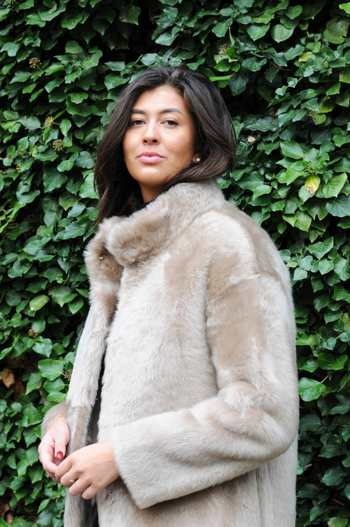 Halima, 85 cm. - Krage - La Coon Lamb - Dam - Kamel