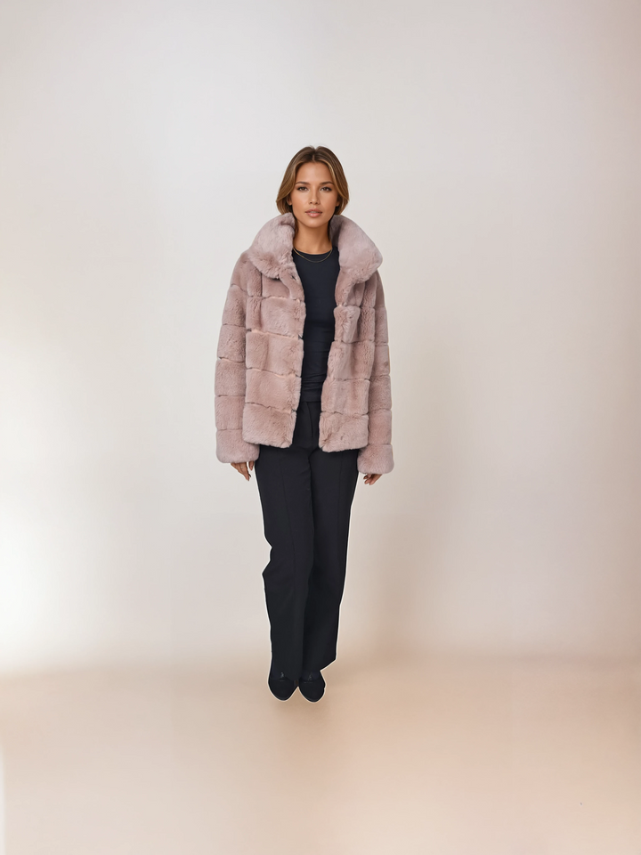 Petrovski, 60 cm. - Krage - Rex - Dam - Dust Rose