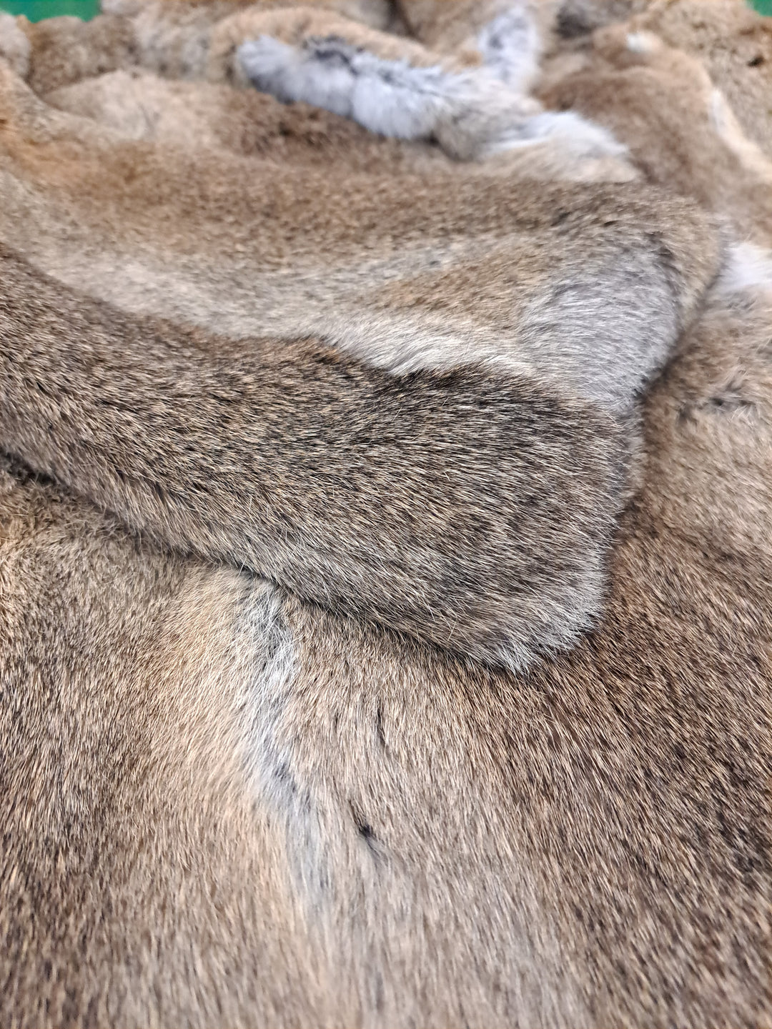 Jabby, 115 cm. Rabbit - Women Hare