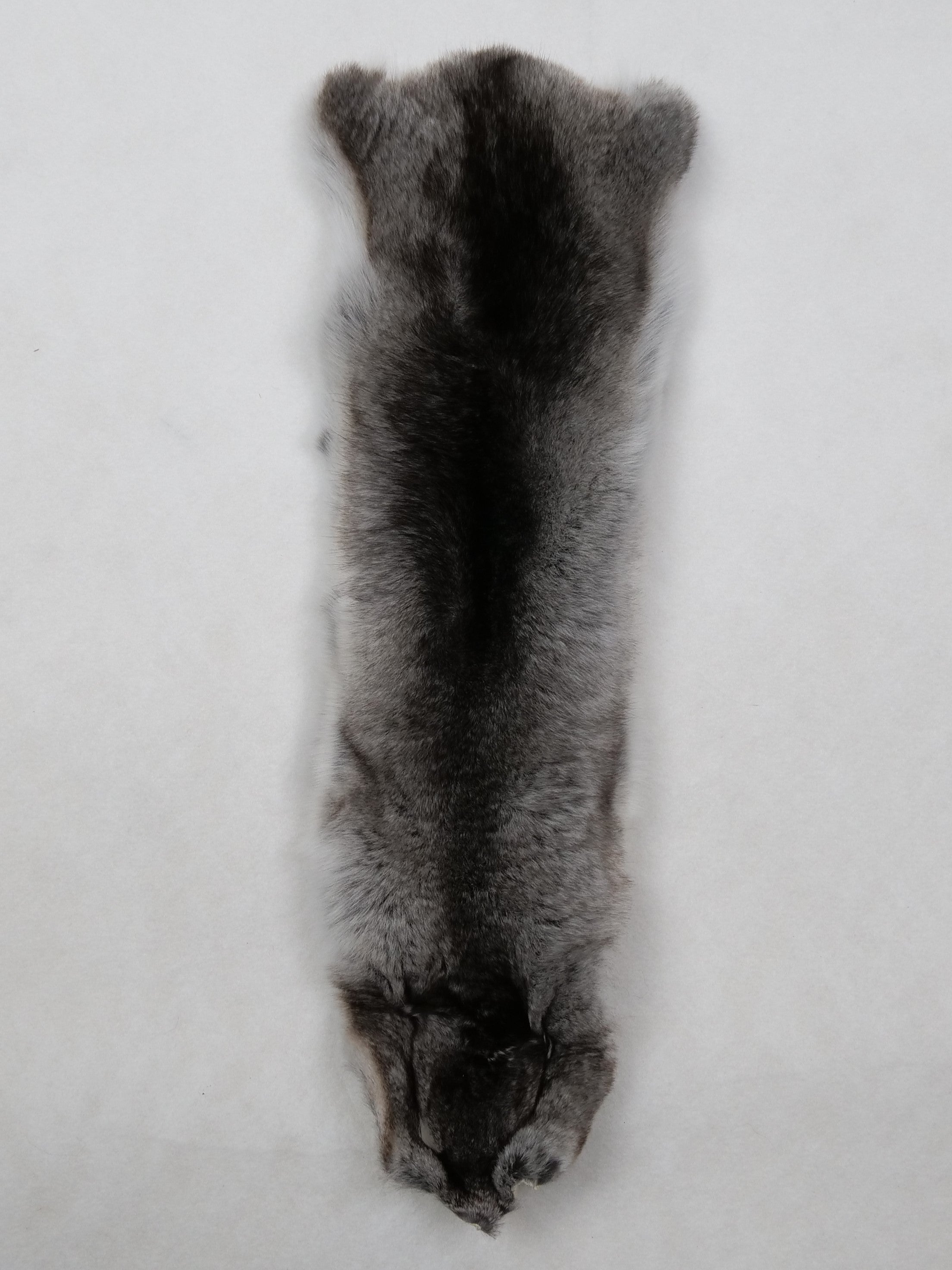 Chinchilla - Dressed Fur Skin - Fur – Stampe Denmark