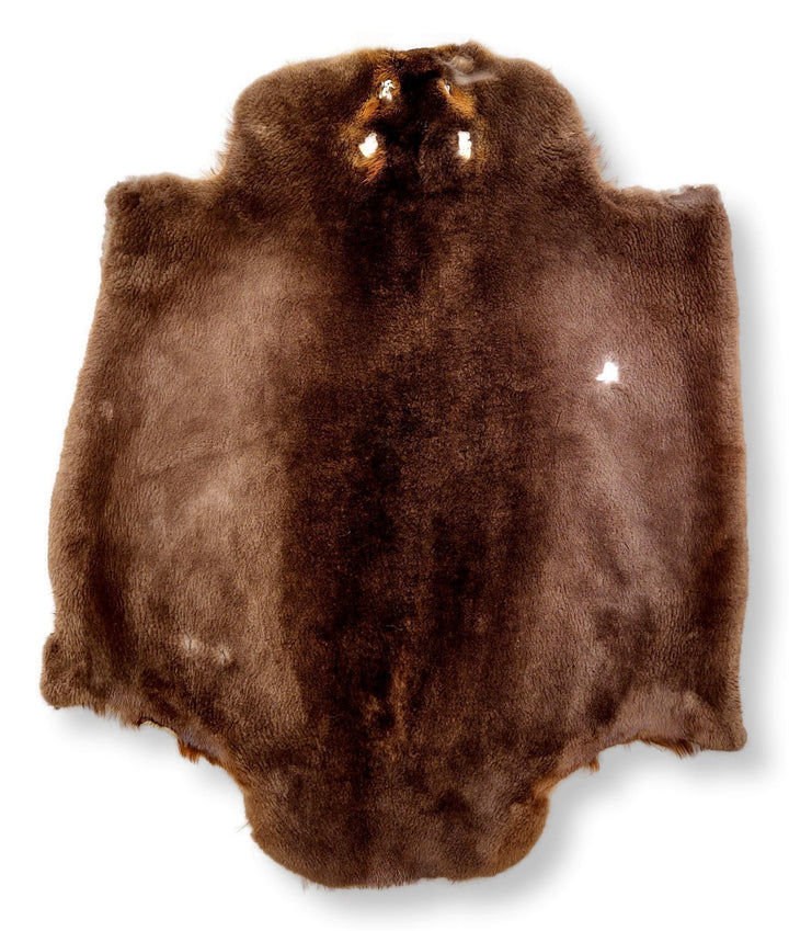 Beaver Sheared Brown - Klädd pälsskinn - Päls