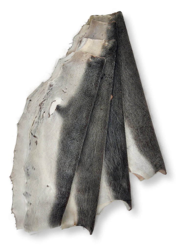 Seal Blueback Grau/Natur - Dressed Fur Skin - Fur