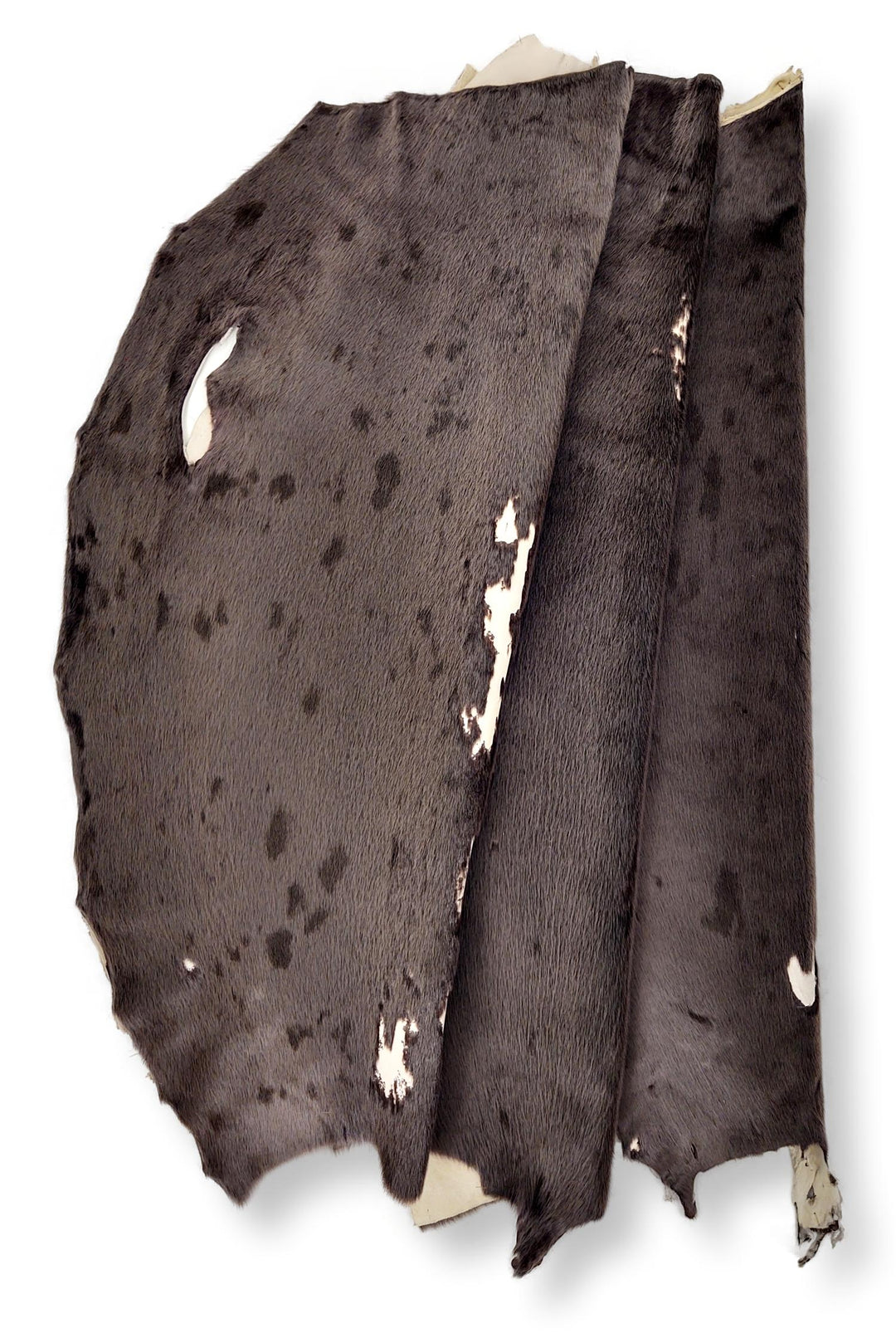 Sattelrobbe Cacao - Dressed Fur Skin - Fur